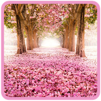 Природа Обои