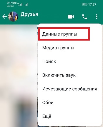 Данные группы ватсап