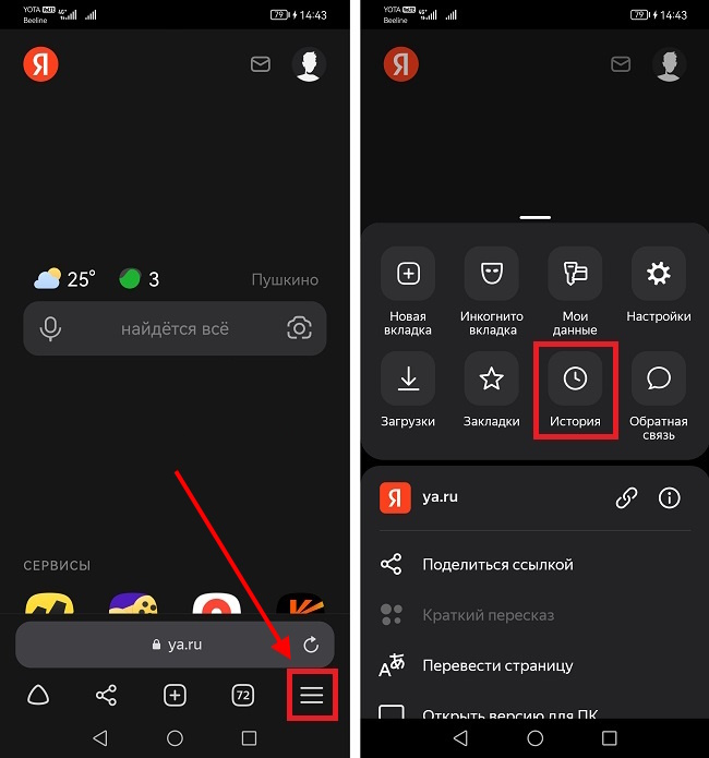 история Яндекс Браузер