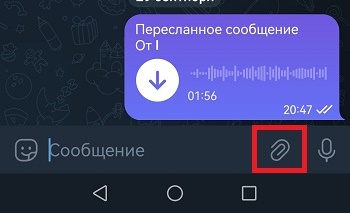 скрепка телеграм